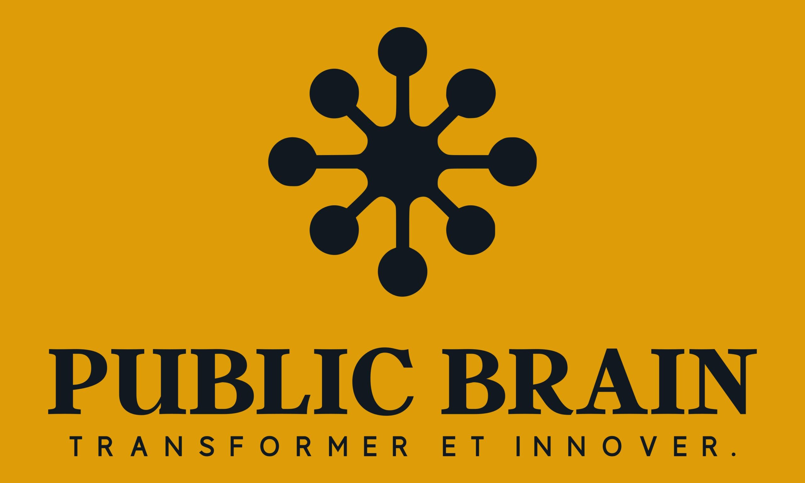 publicbrain.io